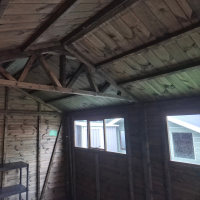 14x10 Heavy Duty Apex X Show Model